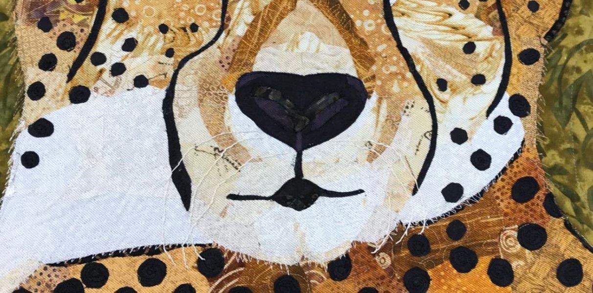 cheetah wiskers